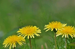 b0253627_2218383.jpg