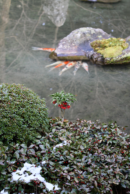 大原雪景色 －大原山荘　足湯カフェ～蓮華寺－_b0169330_23142058.jpg