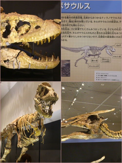 b0289030_14214513.jpg