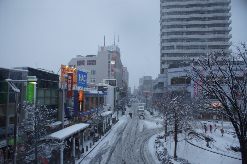 a0122932_17133977.jpg