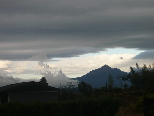 a0206332_9532348.jpg