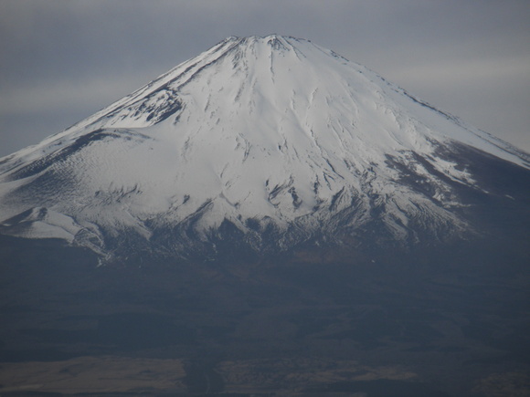 毎日、富士山を見て暮らす沼津総局長_a0243432_20492560.jpg