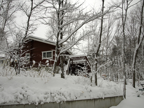 a0267332_22545811.jpg