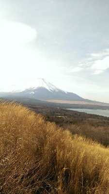 c0254533_2030676.jpg