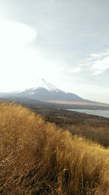 富士山_c0254533_2030676.jpg