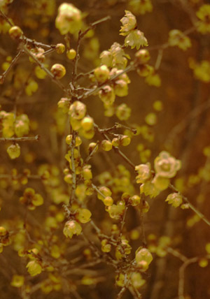 b0035734_1843360.jpg