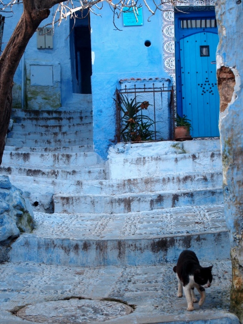 Chefchaouen, a blue city in Morocco_e0238234_20123734.jpg