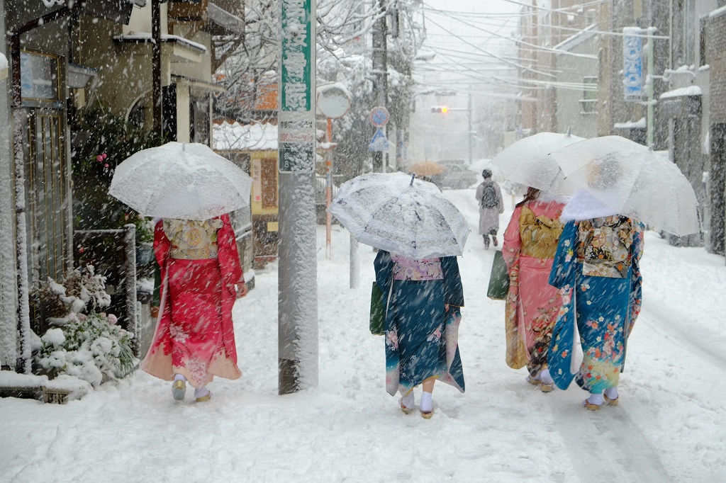 雪だるまは国民の義務です？_f0050534_19112118.jpg