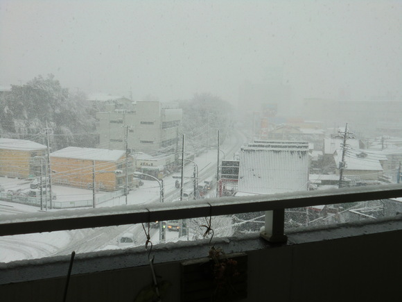 c0267235_238217.jpg