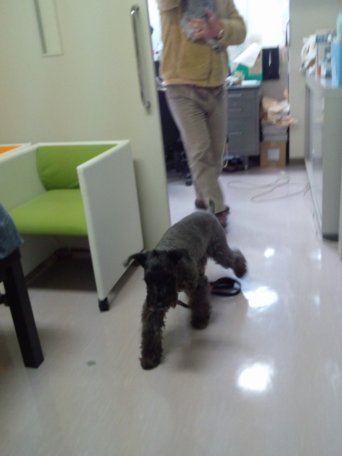 e0227139_12063.jpg