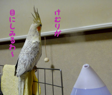 a0056140_15551126.jpg