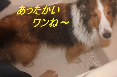 雪・・・長靴にはスパイク&遊び後は足湯♪_e0195743_17533977.jpg