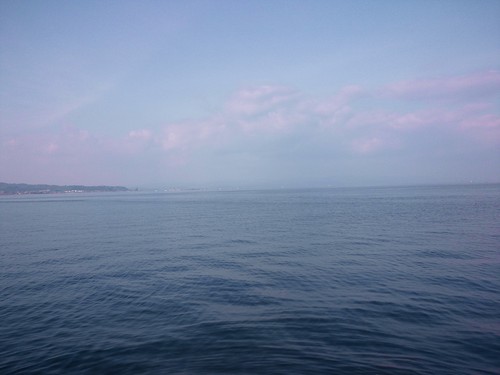 d0138246_17998.jpg