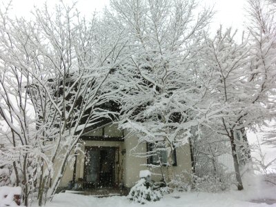大雪です!_f0019247_16273594.jpg