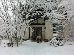 大雪です!_f0019247_1631715.jpg