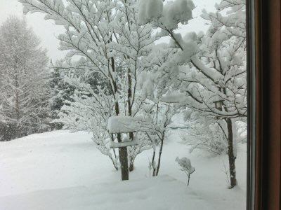 大雪です!_f0019247_16324189.jpg