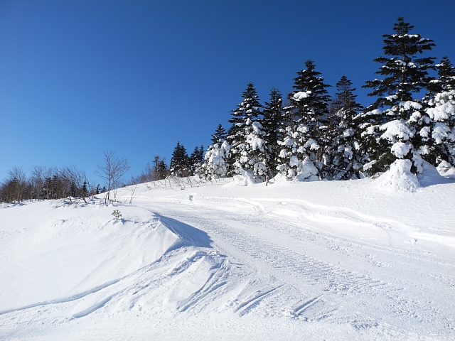 b0122448_20427.jpg