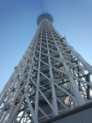 2013年スタートしました_b0086351_14325840.jpg