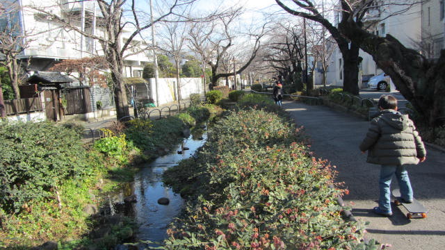 b0247153_0321561.jpg
