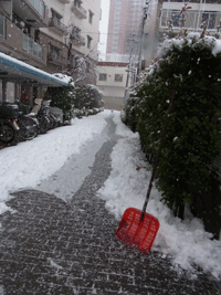 初雪_e0010353_22523290.gif