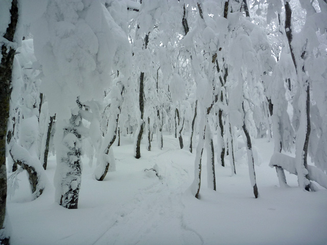 c0116856_62428.jpg