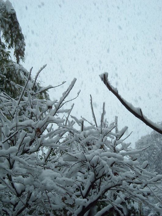 b0162357_12544230.jpg