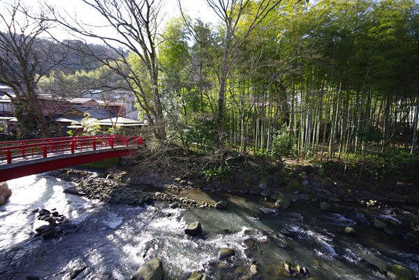 修善寺の旅～新井旅館～_e0303257_1132569.jpg