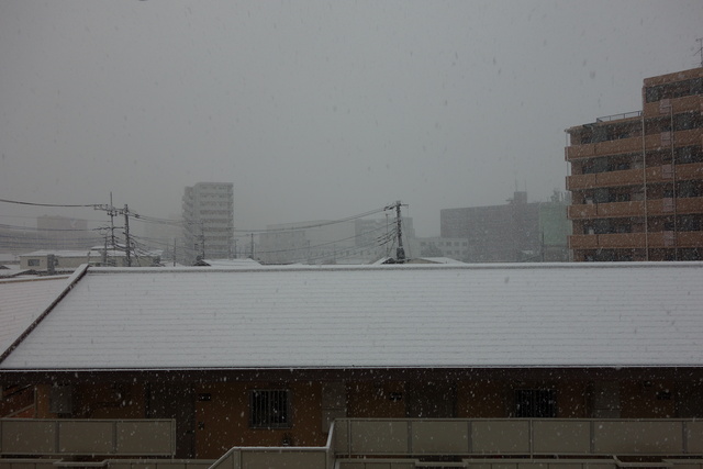 初雪。_b0270060_11431344.jpg