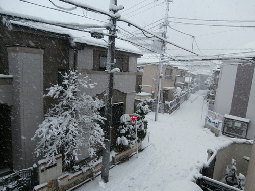 豪雪_e0249060_155528100.jpg