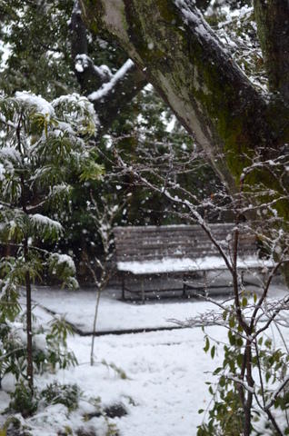 雪の一日_d0087761_15403791.jpg