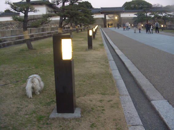 b0107163_321627.jpg