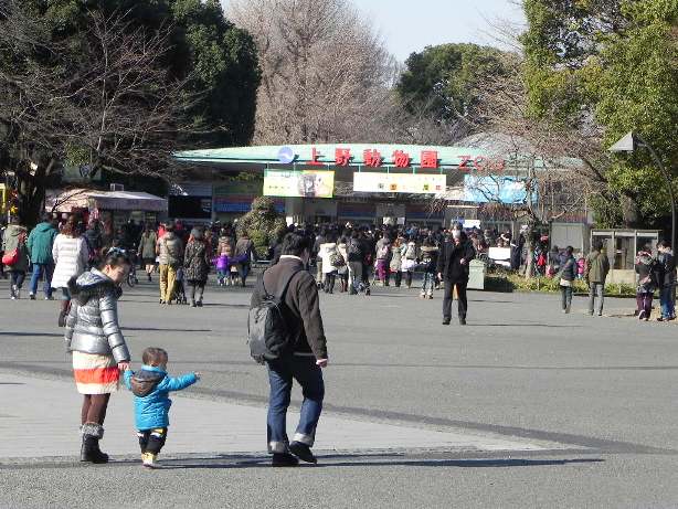 上野公園行き250113_d0048366_1333912.jpg