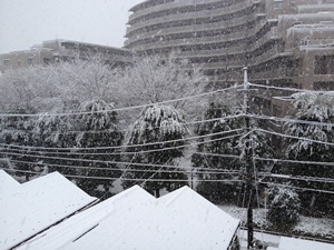 初雪_a0124768_12592930.jpg