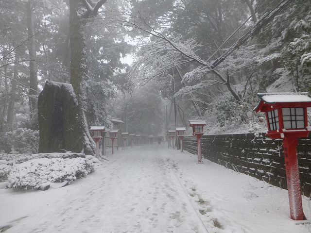 雪の高尾山 1月14日 Nong Joon の広場 雪の高尾山 1月14日 Nong Joon の広場