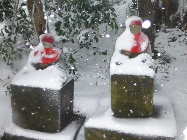 雪の高尾山 1月14日 Nong Joon の広場 雪の高尾山 1月14日 Nong Joon の広場