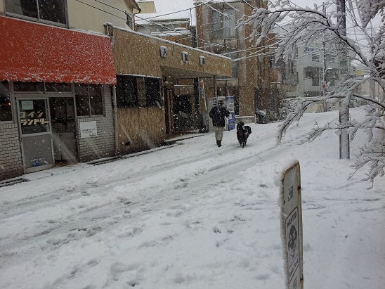 東京で大雪！_e0293373_2252244.jpg