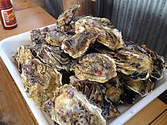 鳥羽で「焼き牡蠣の食べ放題」に_e0113674_345564.jpg