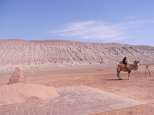 e0271874_1720402.jpg