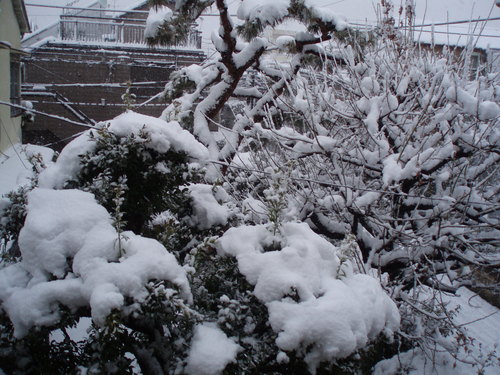 c0240877_15103968.jpg