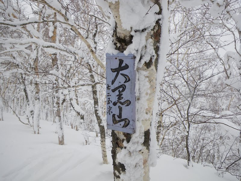 エビス山（723㍍）～大黒山（725㍍）ツアー=2013年1月12日_a0141678_19271723.jpg