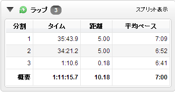 大阪ハーフマラソンに向けて_c0105280_2112321.png