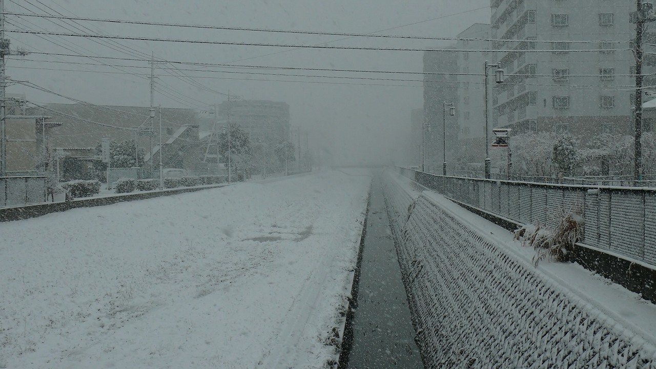 【 日記 1/14(月) 】 こんな時こそ定点観察 v^^)_a0185081_1652327.jpg