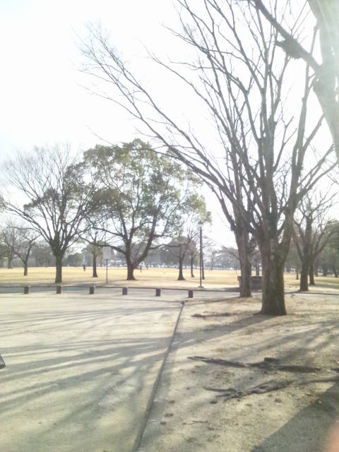 c0246783_21494370.jpg