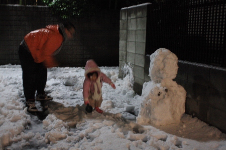 東京も　大量に雪が降りましたね～！_b0207284_2312283.jpg