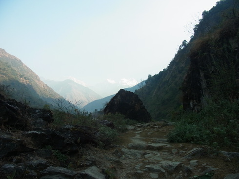 a0207588_1554085.jpg