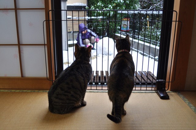 ゆきやこんこ_a0126590_21445630.jpg