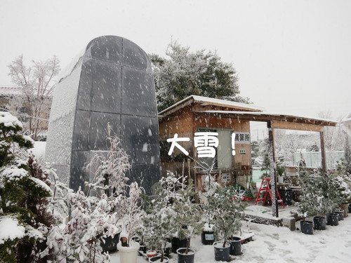 荒れる成人式 2013_b0200291_19101417.jpg