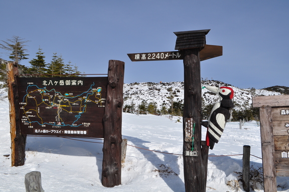 d0226492_1014214.jpg