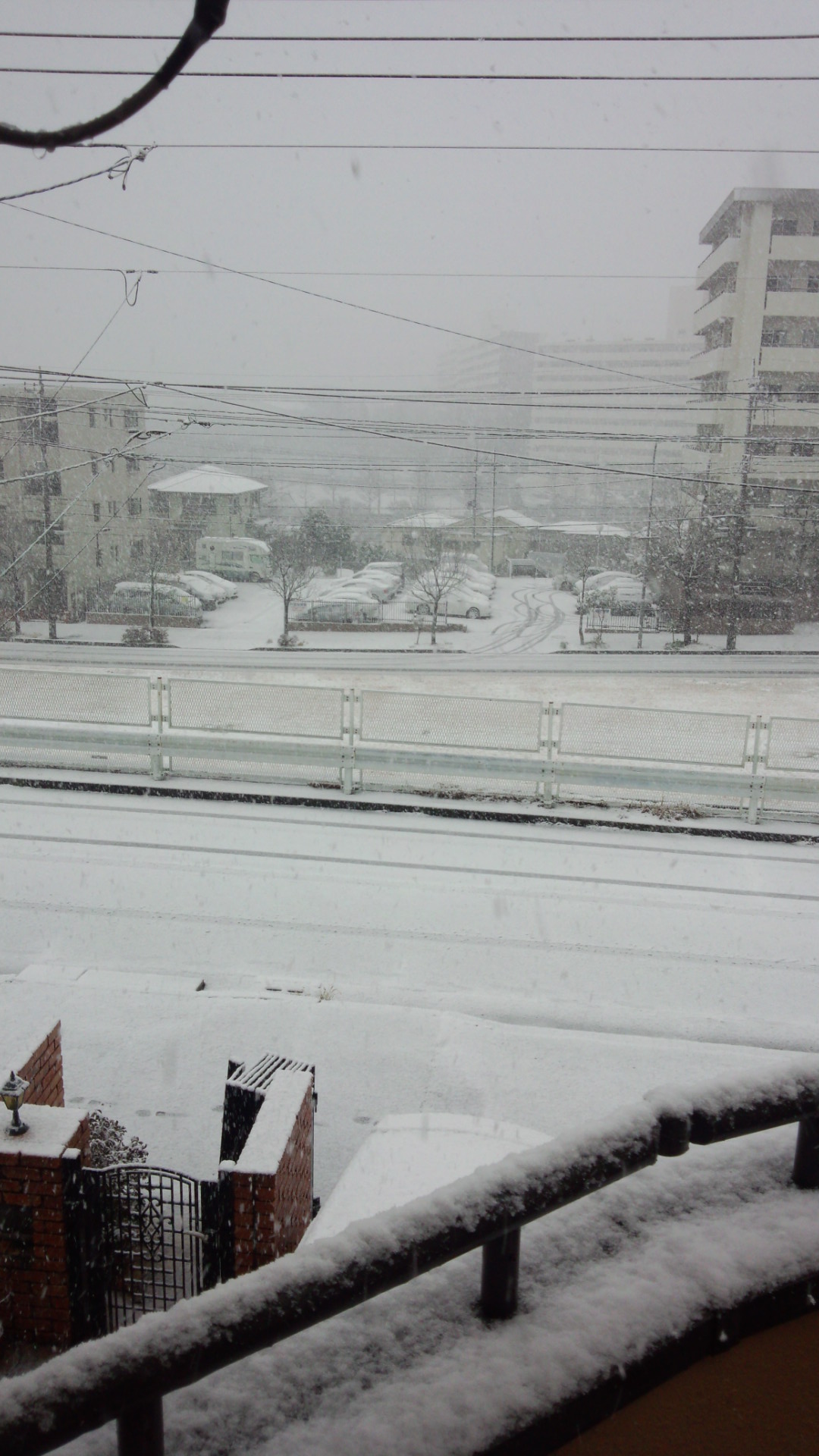 目が覚めたら雪!!_e0119092_11233041.jpg