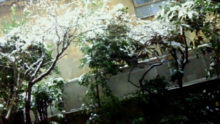 d0030693_15391731.jpg